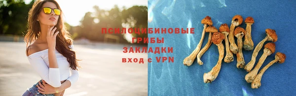 гидра Гусь-Хрустальный