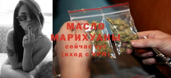 гидра Гусев