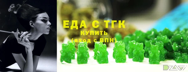 гидра Гусев