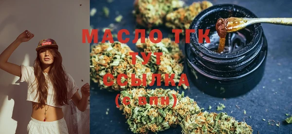 гидра Гусев