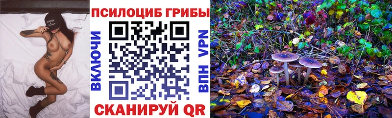 Псилоцибиновые грибы Magic Shrooms  Донецк 